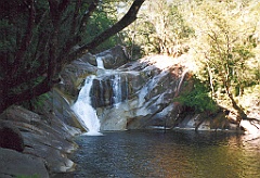 2001 - Australie (19)